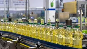 Automatic Oil Filling Machine-EPM40 4 Automatic PET Bottle Oil Filling Machine